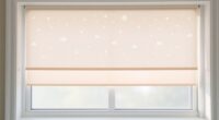 baby window privacy shades