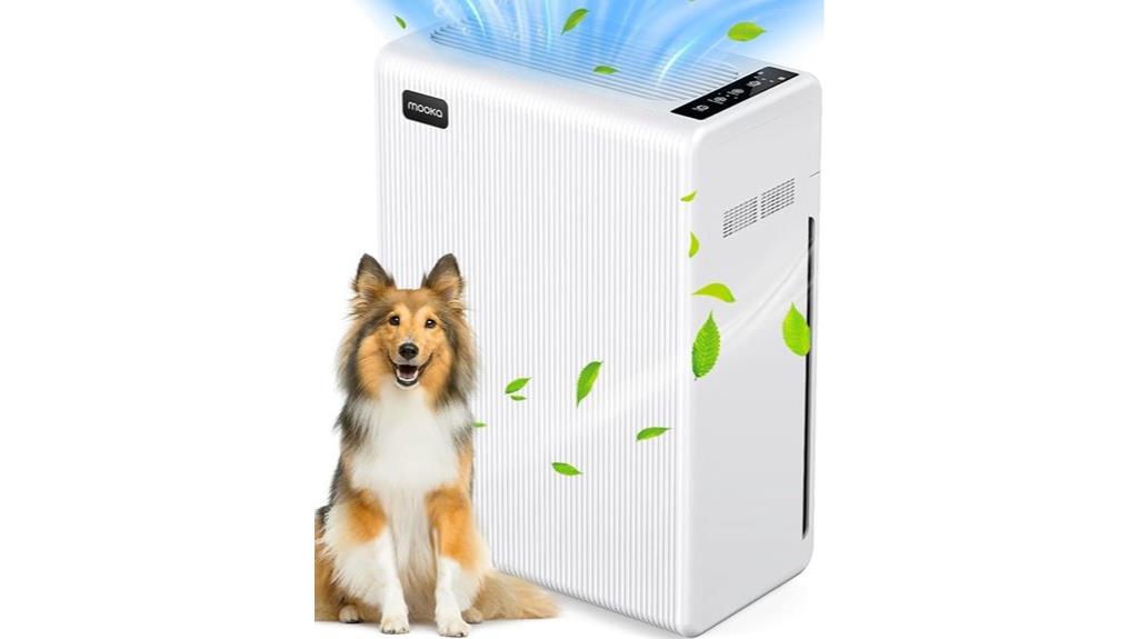 large room air purifier