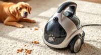 top pet carpet cleaners