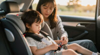 10 Best Child Safety Seat Harnesses in 2026