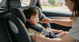 12 Best Child Safety Seat Harnesses in 2026
