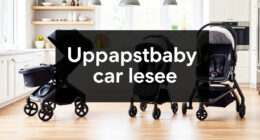 Top UPPAbaby & Nuna Rain Covers & Accessories in 2026