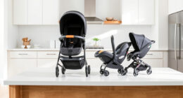 UPPAbaby Vista V2 vs Nuna MIXX: Full Comparison