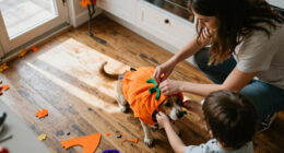 15 Best Halloween Costumes for Family Pets in 2027